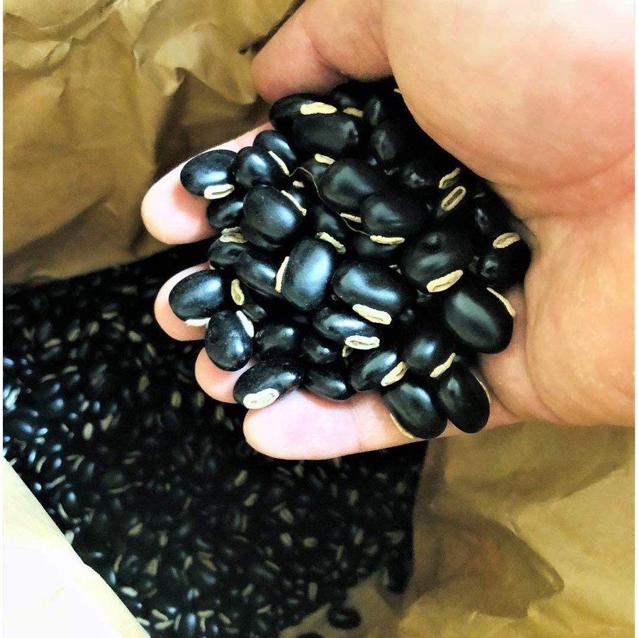 黒ムクナ豆